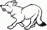 Baby Wolves Coloring Pages  Home sketch template