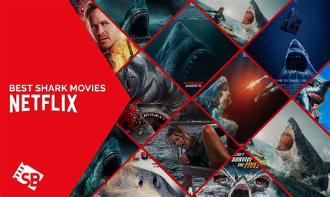 14 Best Shark Movies On Netflix Right Now in USA [Updated 2023]