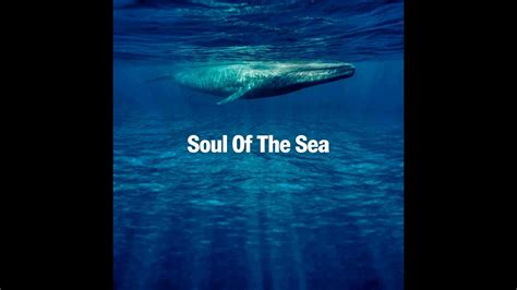 Soul Of The Sea - YouTube