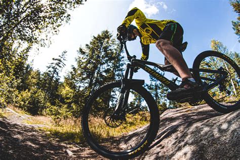 15 Best Beginner Mountain Bikes With Reviews | Nourished By Life