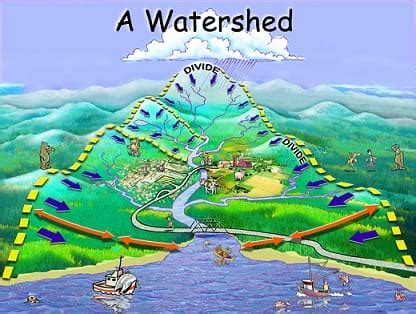 Watershed Diagram River Talk