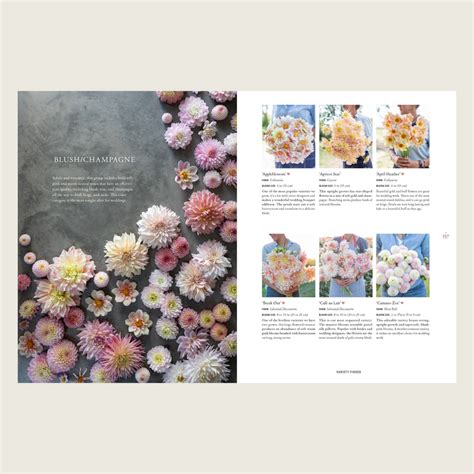 Discovering Dahlias Book - Signed Copy – Floret Flower Farm