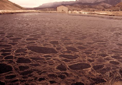 File:Uranium waste near Rifle, Colorado.jpg - Wikimedia Commons
