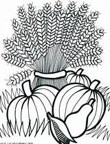 Coloring Pages Harvest Printable Getcolorings Sketch Page sketch template
