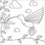 Hummingbirds And Flower Coloring Pages Sketch Coloring Page sketch template