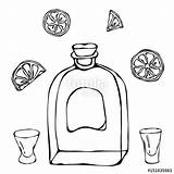 Whisky Coloring Pages Sketch Page sketch template