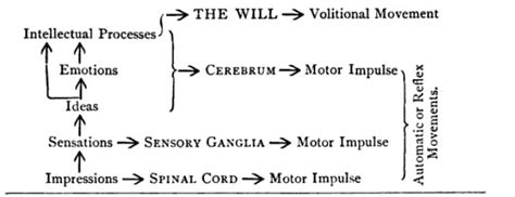 The Book Shelf: Ideomotor Phenomenon and the Ouija Board by William Benjamin Carpenter 1852