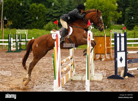 Chestnut horse jumping fence Stock Photo - Alamy