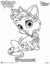 Whisker Haven Coloring Pages At GetDrawings  Free download sketch template