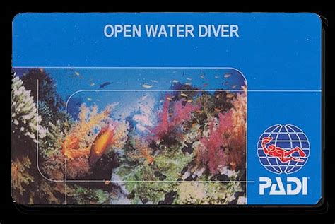 PADI Open Water Certification Card - Pura Vida Divers : Discover South Florida SCUBA Diving