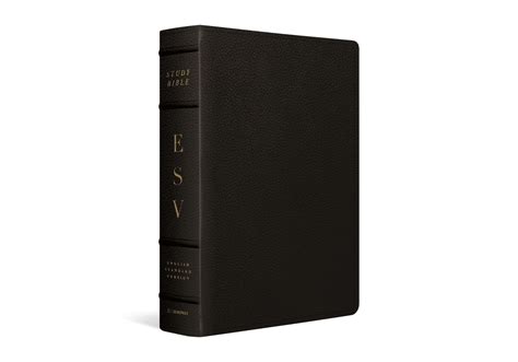 ESV Study Bible, Large Print Buffalo Leather, Deep Brown ...