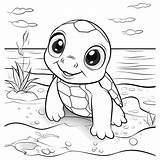 Beautiful Cute Turtle Coloring Pages 22788667 Vector Art At Vecteezy sketch template
