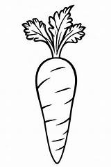 20 Carrot Coloring Pages For Kids  ShadeMaze sketch template