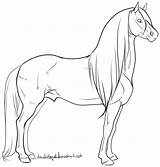 Warmblood Stallion Lineart By Amandaraquel With Images sketch template
