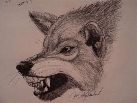 Growling Wolf Drawing at GetDrawings | Free download