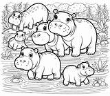 Hippopotamus Coloring Pages 34  Gem sketch template