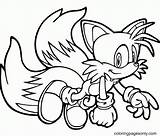 54 Special Tails Coloring Pages For Kids And Adults sketch template