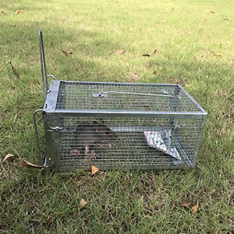 Kensizer Animal Humane Live Cage Trap That Work for Rat Mouse Chipmunk ...