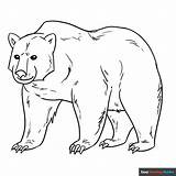 Free Printable Bear Coloring Pages For Kids sketch template