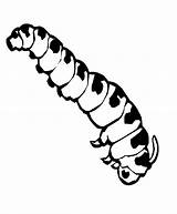Unique Caterpillar Picture To Color  Coloring Pages For Kids sketch template