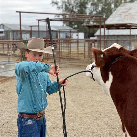 Makeup Area Awareness | Stock Show Stories Don't make these mistakes! | Show cattle, Show cows ...