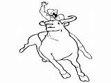 Bull Coloring Pages  Best For Kids sketch template