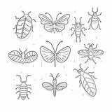 Insects Coloring Pages For Preschoolers  Mimi Panda sketch template
