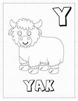 Premium Vector  Letter Y Is For yak coloring Page Book letter sketch template