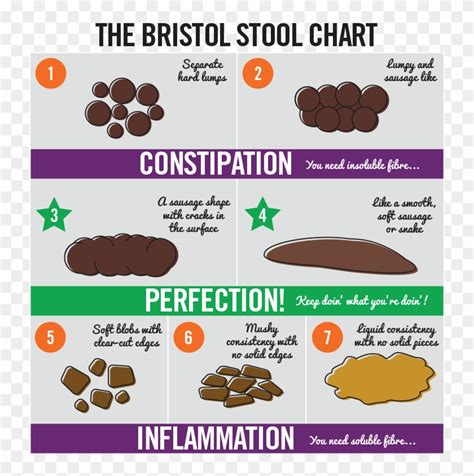 Dog Poop Normal - Cake Bristol Stool Chart, HD Png Download - 800x818 ...