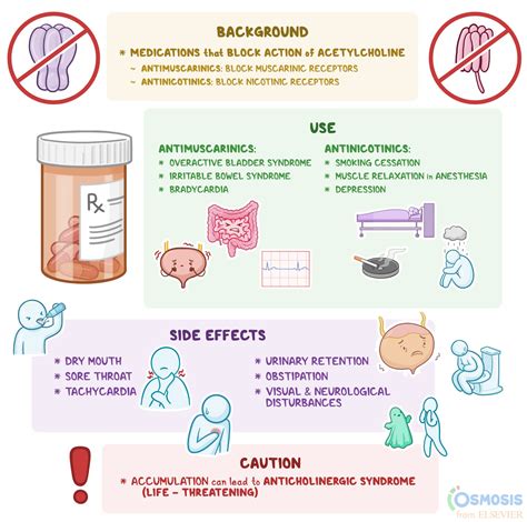 Anticholinergics: What Are They, How Do They Work, and More | Osmosis