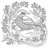 Bird With Floral Elements  Coloring Pages For Adults sketch template