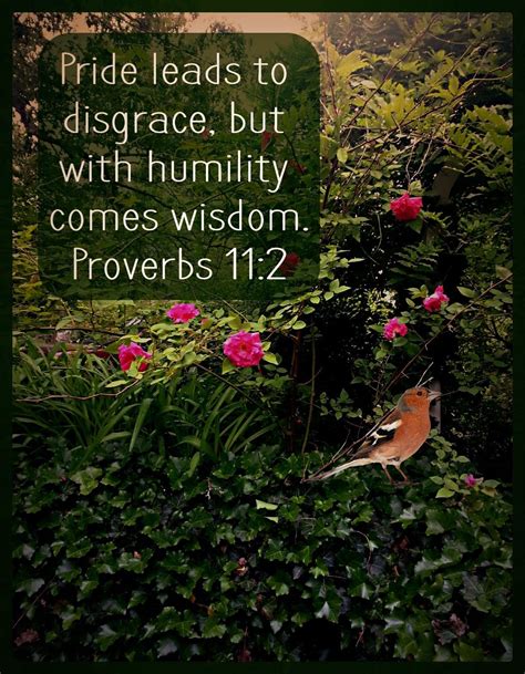 Humility Leads to Wisdom | Bible verse for today, Proverbs 11, Proverbs 11 2