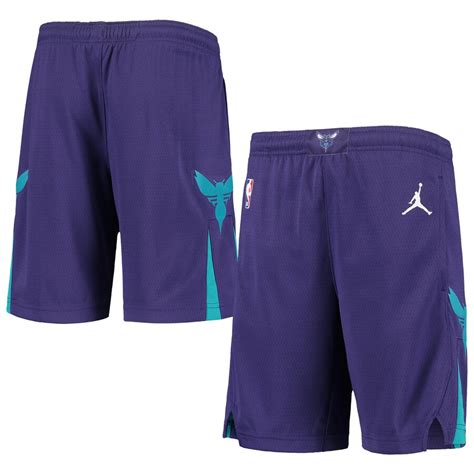 Youth Jordan Brand Purple Charlotte Hornets 2019/20 Swingman ...