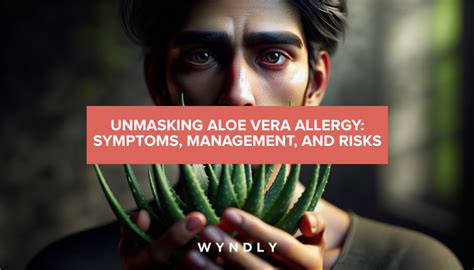 Aloe Vera Allergy: Identifying Symptoms and Managing Risks (2024) & Wyndly