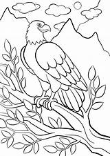 Coloring Birds Pages sketch template