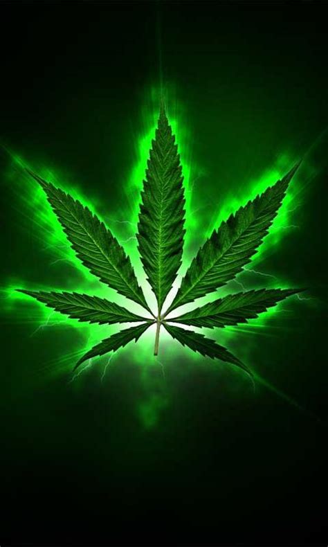 🔥 [46+] iPhone Marijuana Wallpapers HD | WallpaperSafari