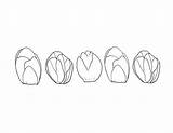 Coloring Sprouts Brussels Sprout Pages Brussel Chou Bruxelles Choux  sketch template