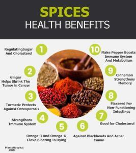 8+ Powerful Health Benefits Of Spices: Uses, Warnings And More