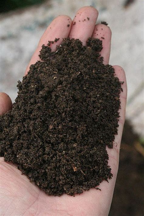 Build up your school garden’s soil health using compost - MSU Extension