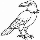 Printable crow coloring Pages For Free  Coloring Fun Zone sketch template