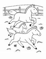 Animal Coloring Pages Horse sketch template