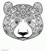 Bear Face Adult Coloring Page  COLORING PAGES PRINTABLECOM sketch template