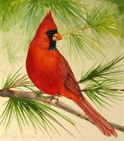 cardinal paintings original cardinal painting bird watercolors