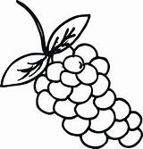 Coloring Pages  Print Grapes Page sketch template