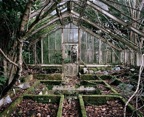 Greenhouse by Tom Wilson on 500px. Hidden in the overgrown grounds of a derelict... | 1000 in ...