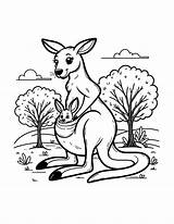 Kangaroo Coloring Page Kangaroo – Coloringbookpics sketch template