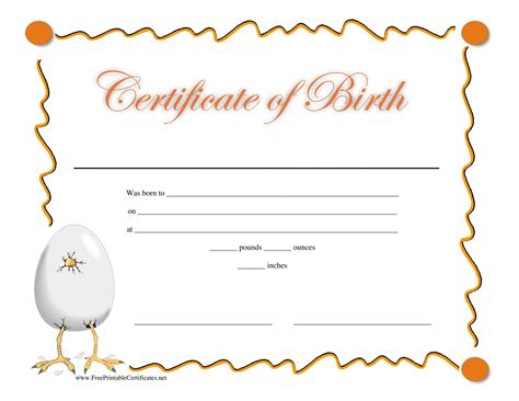 15 Birth Certificate Templates (Word & PDF) - Template Lab