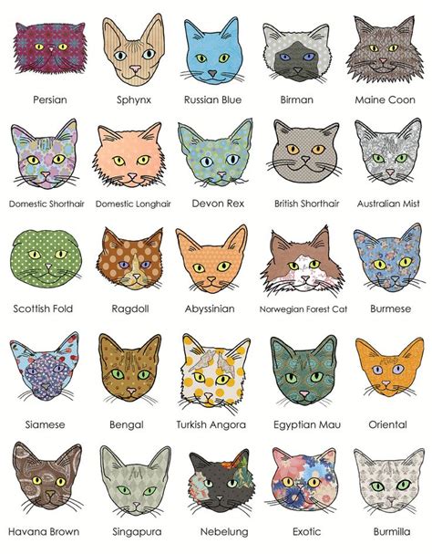 digital breed print | I love cats, Cat breeds, Crazy cats