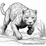 Panther Coloring Pages  Free & Printable sketch template