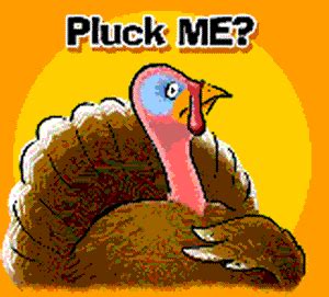 Thanksgiving Turkey Day GIF - Find & Share on GIPHY